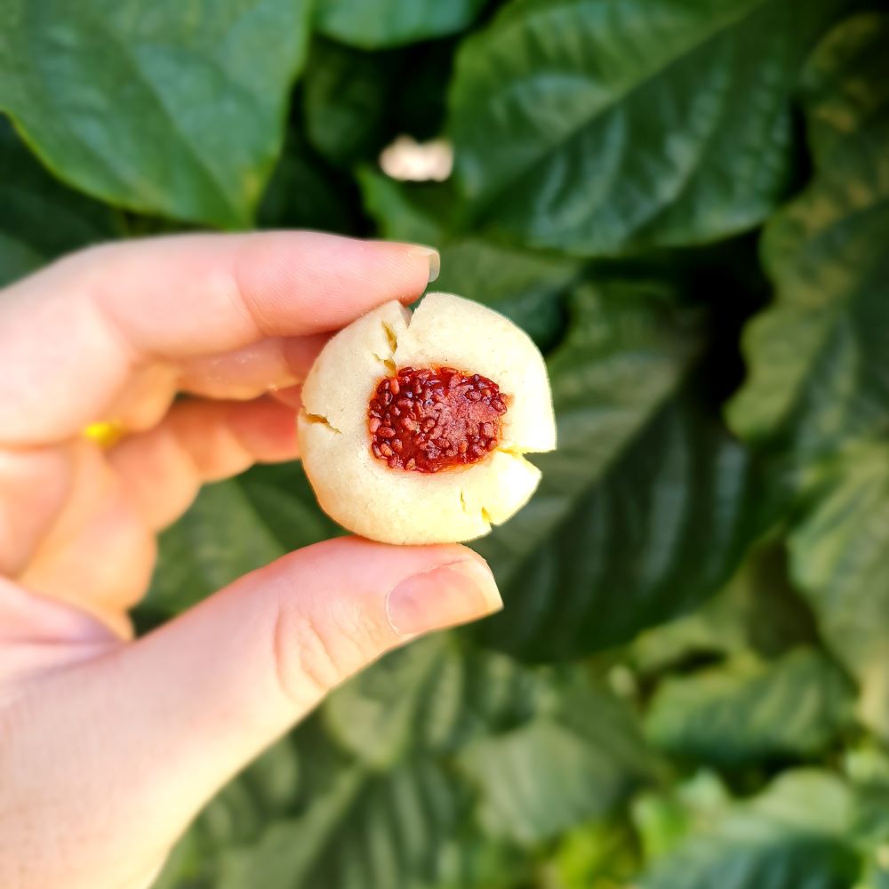 Biscoitinho Diet Amanteigado Com Geleia